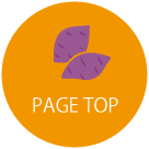 PAGE TOP