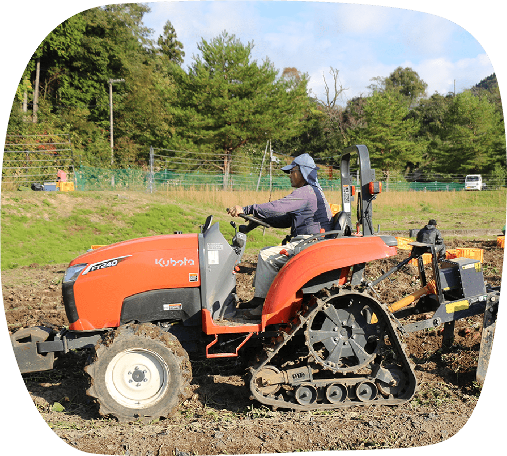 トラクターで掘り起こします。