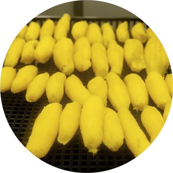 きれいに皮を剥いた黄金色のさつまいも