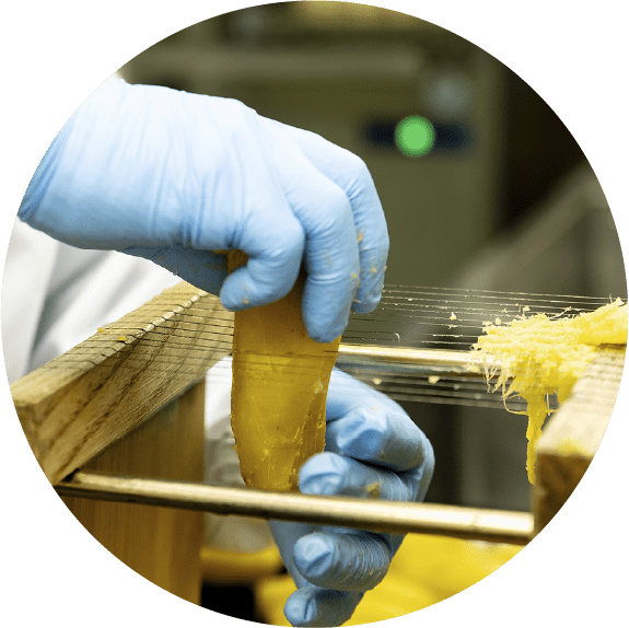 蒸かした芋を裁断作業